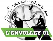 Logo l envolley01 1