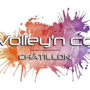 Logo volley n co